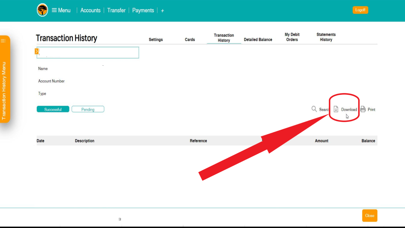 how to check your bank account online | The Fun Accountant