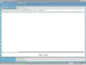 E@syfile employment taxes validation