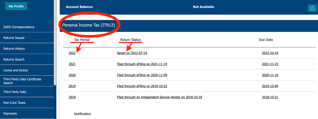 SARS efiling tax return screen