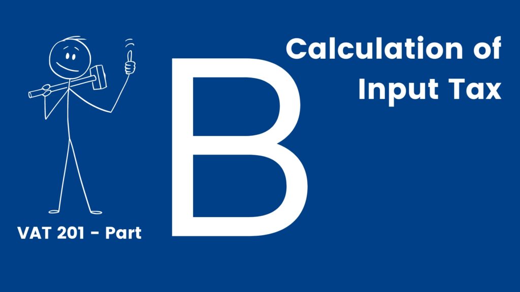 VAT201 Part B - Input VAT by The Fun Accountant